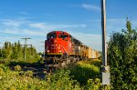 CN 8101 leads 305 in Saint Leonard